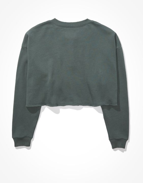 AE Fleece Cropped Henley Sweatshirt