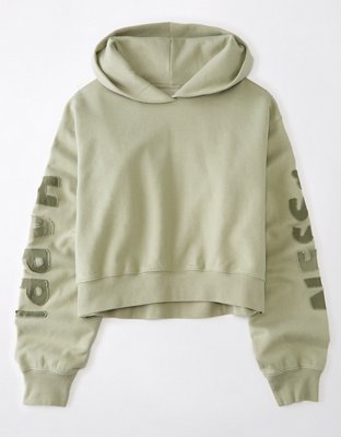 AE Classic Graphic Hoodie