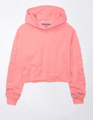 AE Classic Graphic Hoodie