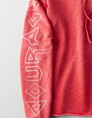 Женские худи American Eagle AE Graphic-Sleeve — фото 6