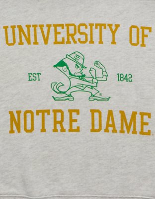 AE Notre Dame V-Neck Graphic Sweatshirt