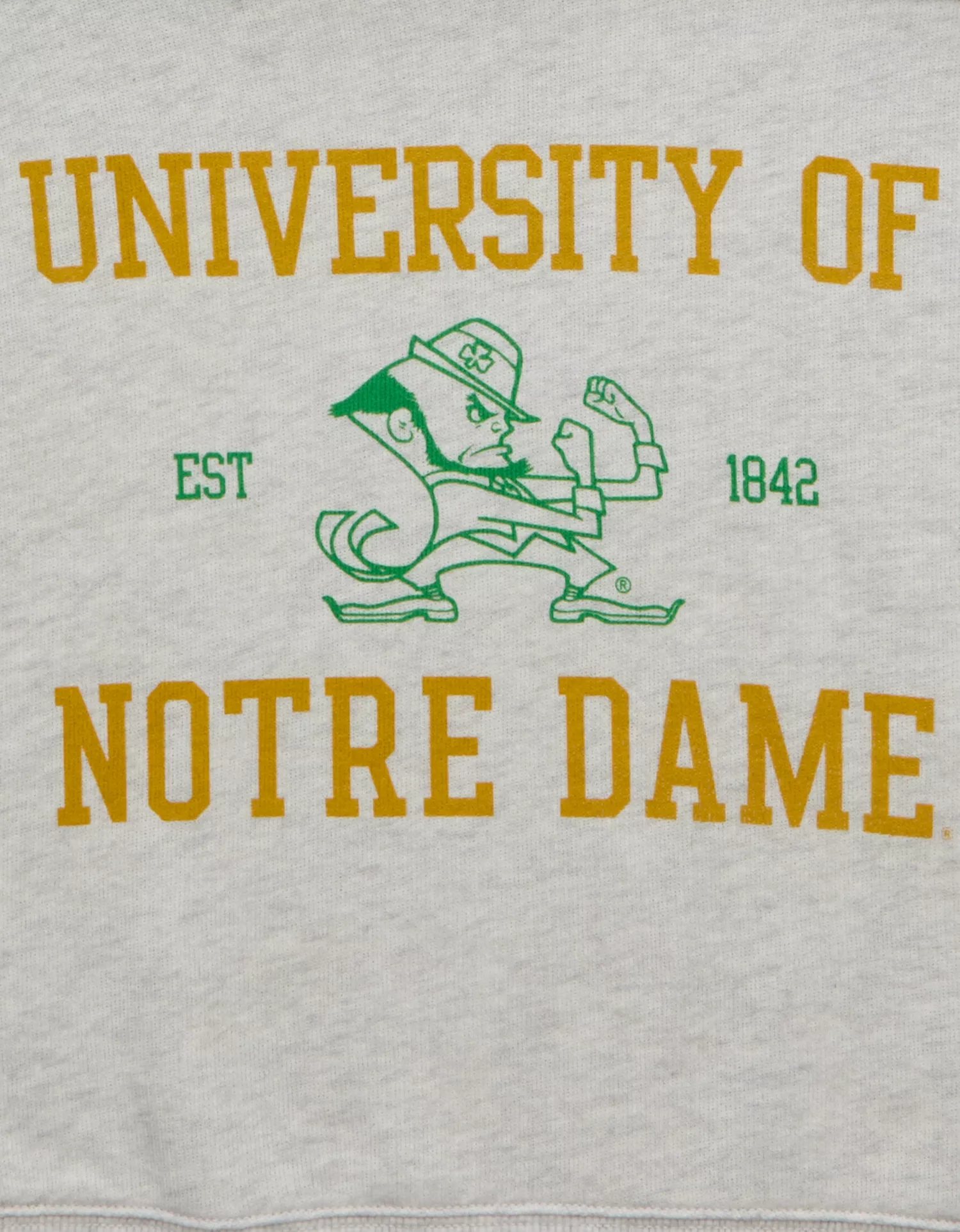 AE Notre Dame V-Neck Graphic Sweatshirt - thumbnail 6