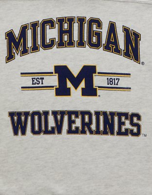 Женская толстовка American Eagle AE Michigan Wolverines V-Neck Graphic, цвет: Жёлтый — фото 6