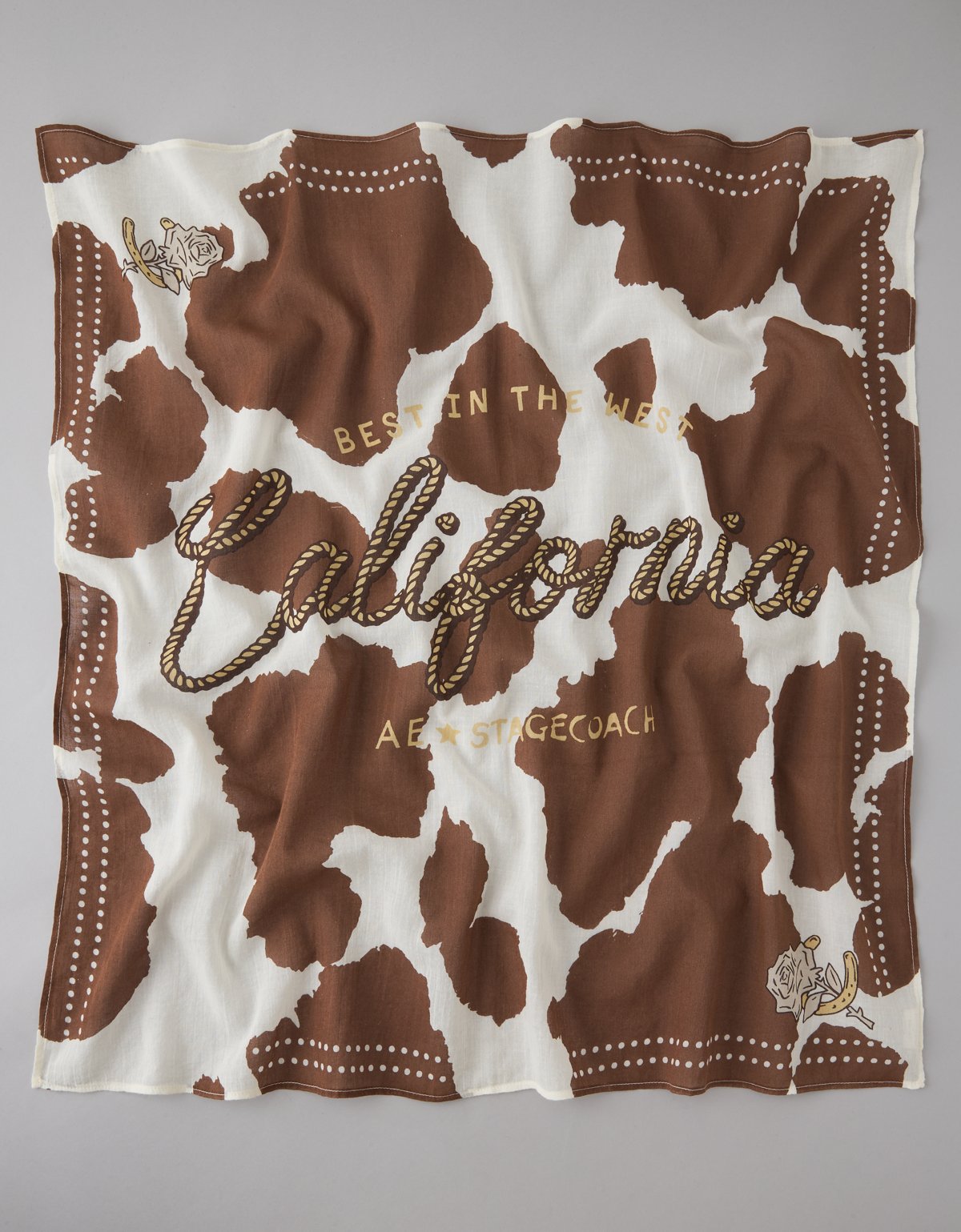 AE x Stagecoach Bandana - image 2
