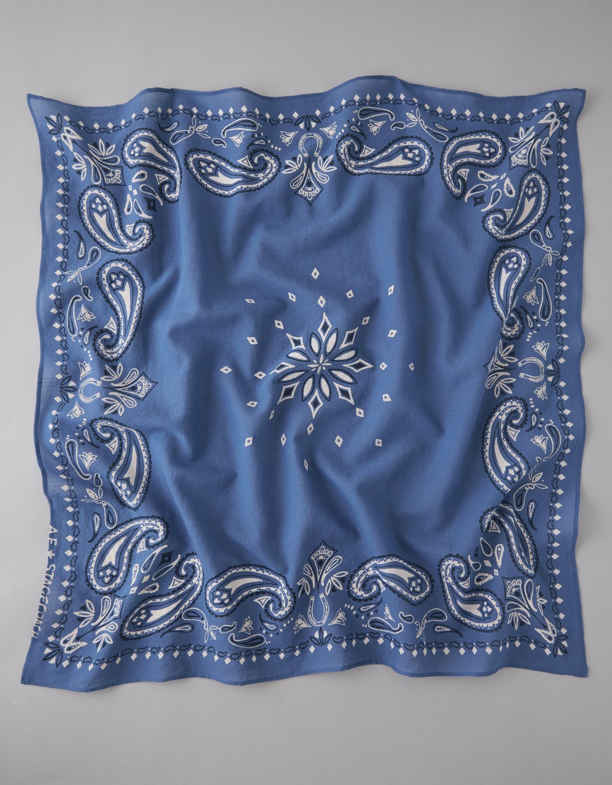 AE x Stagecoach Bandana - image 3