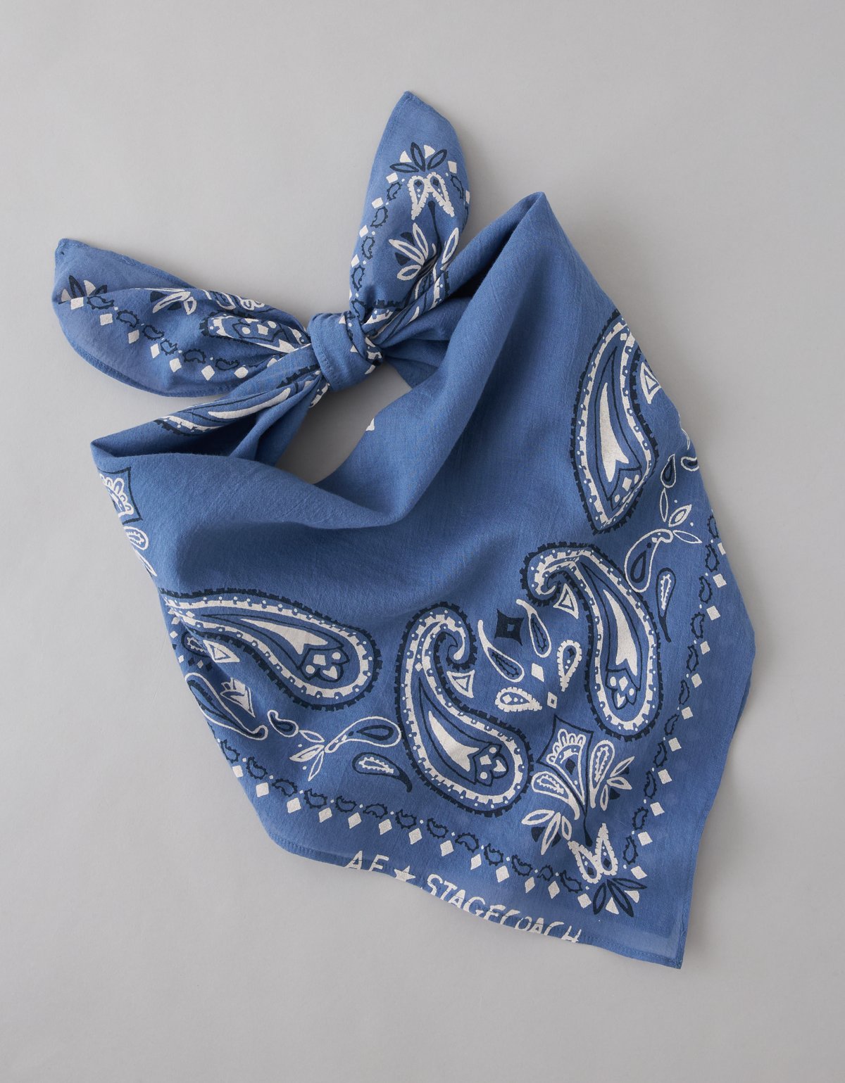 AE x Stagecoach Bandana - image 2