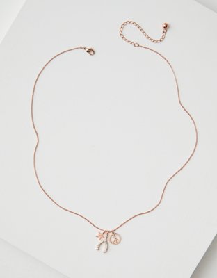AEO Rose Gold Wishbone Necklace