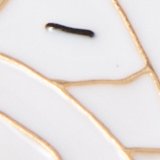 AEO Halloween Snoopy Earrings 2-Pack