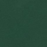 Rugged Green