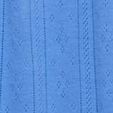 Laundry Blue