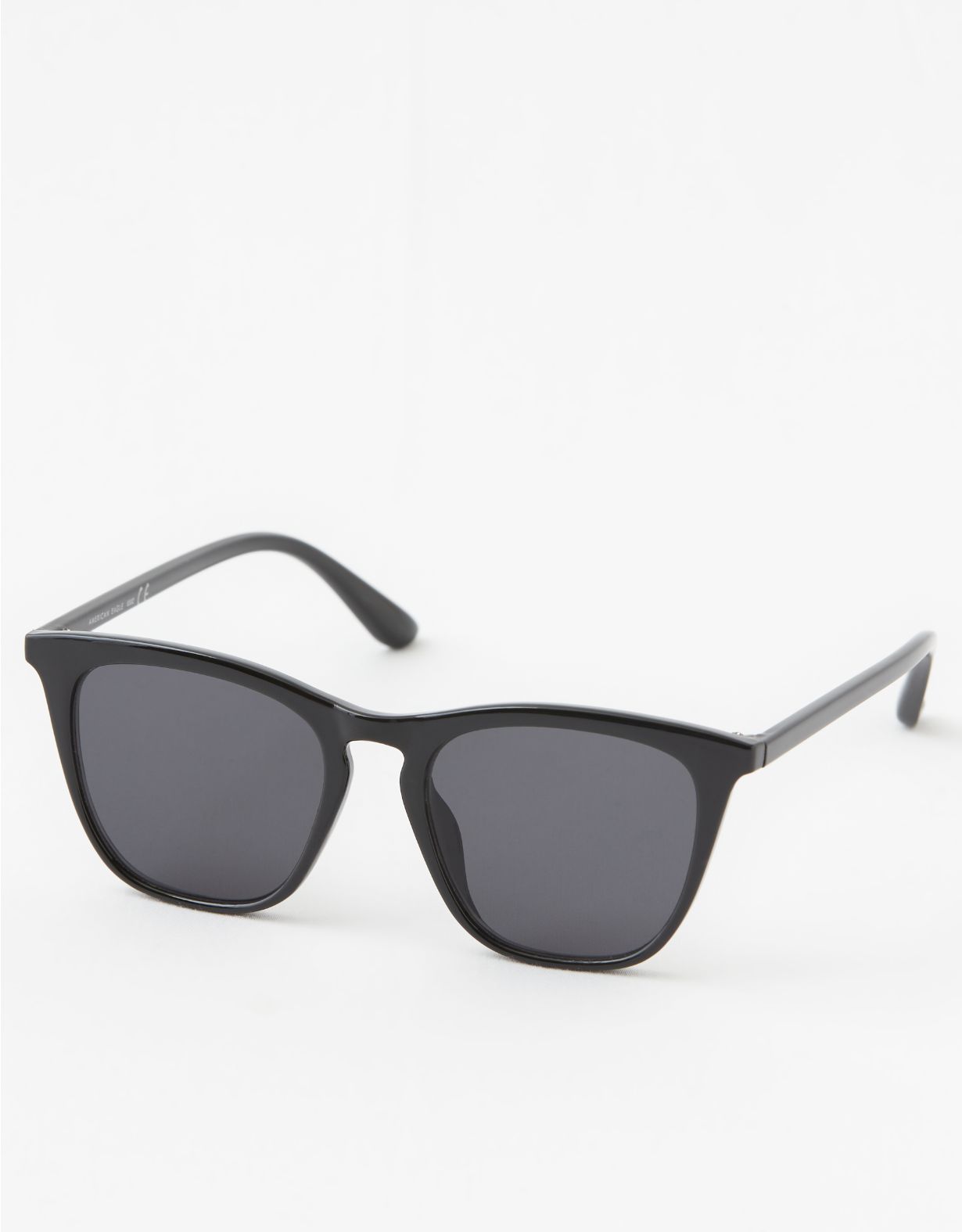 AEO Classic Black Wayfarer Sunglasses