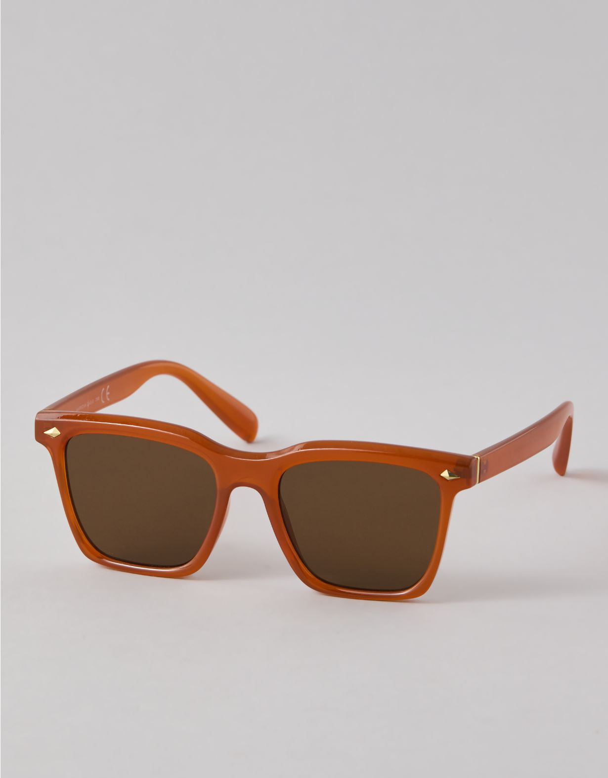 AEO Rusty Square Sunglasses