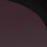 AE Tortoiseshell Aprés Ski Sunglasses