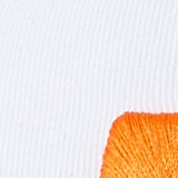 AE '47 Tennessee Volunteers Baseball Hat