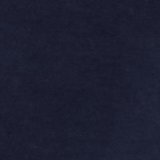 Rich Navy