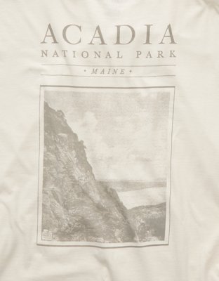 AE Boxy Acadia Nat'l Park Graphic T-Shirt