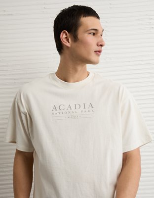 AE Boxy Acadia Nat'l Park Graphic T-Shirt