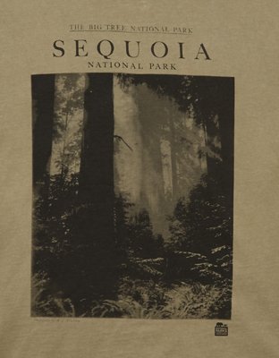AE Boxy Sequoia Nat'l Park Graphic T-Shirt