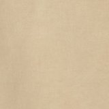 Light Khaki