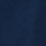 Dark Indigo