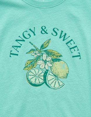 AE Everyday Graphic T-Shirt