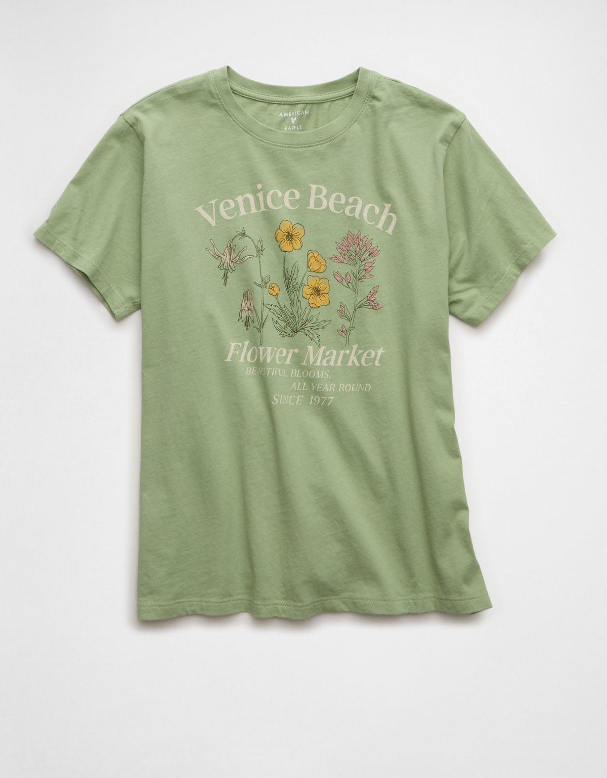 AE Everyday Graphic T-Shirt - image 3
