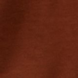 Amber Brown