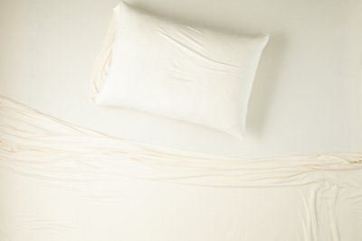 AEO APT Soft & Dreamy Twin/Twin XL Sheet Set - Free Returns