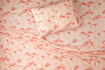 AEO APT Soft & Dreamy Twin/Twin XL Sheet Set - Free Returns