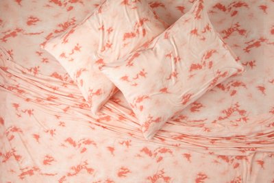 AEO APT Soft & Dreamy Full Sheet Set - Free Returns