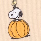 AE Peanuts Fall Plush PJ Set