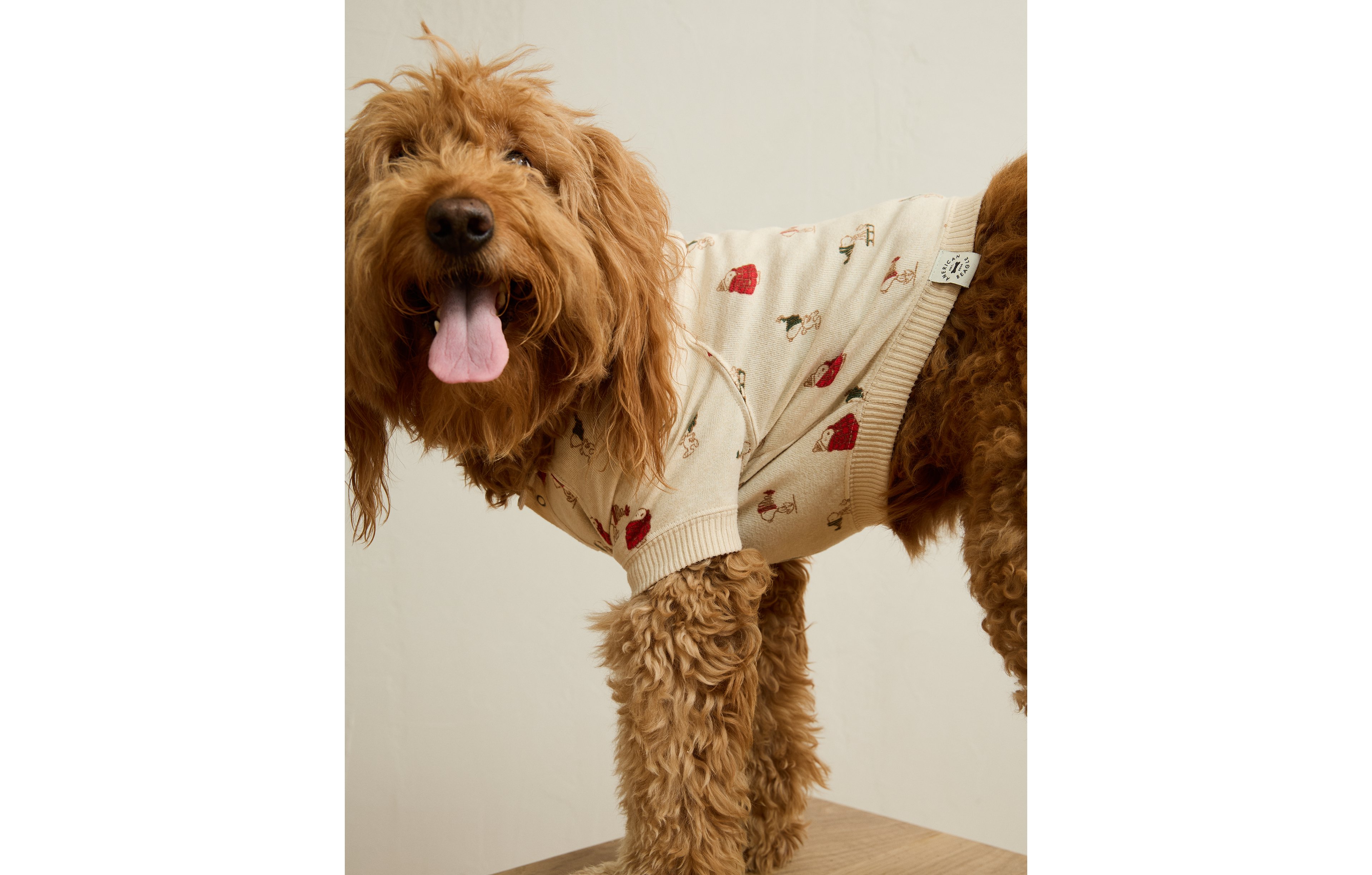 ABO Snoopy Plush Dog Pajama