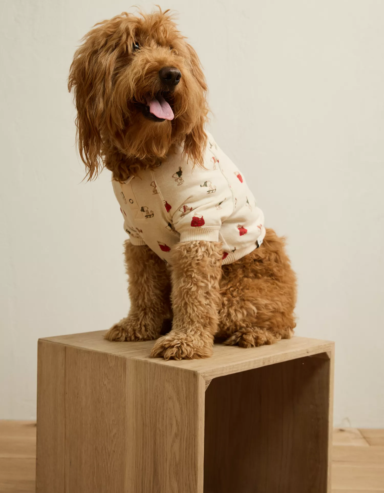 ABO Snoopy Plush Dog Pajama
