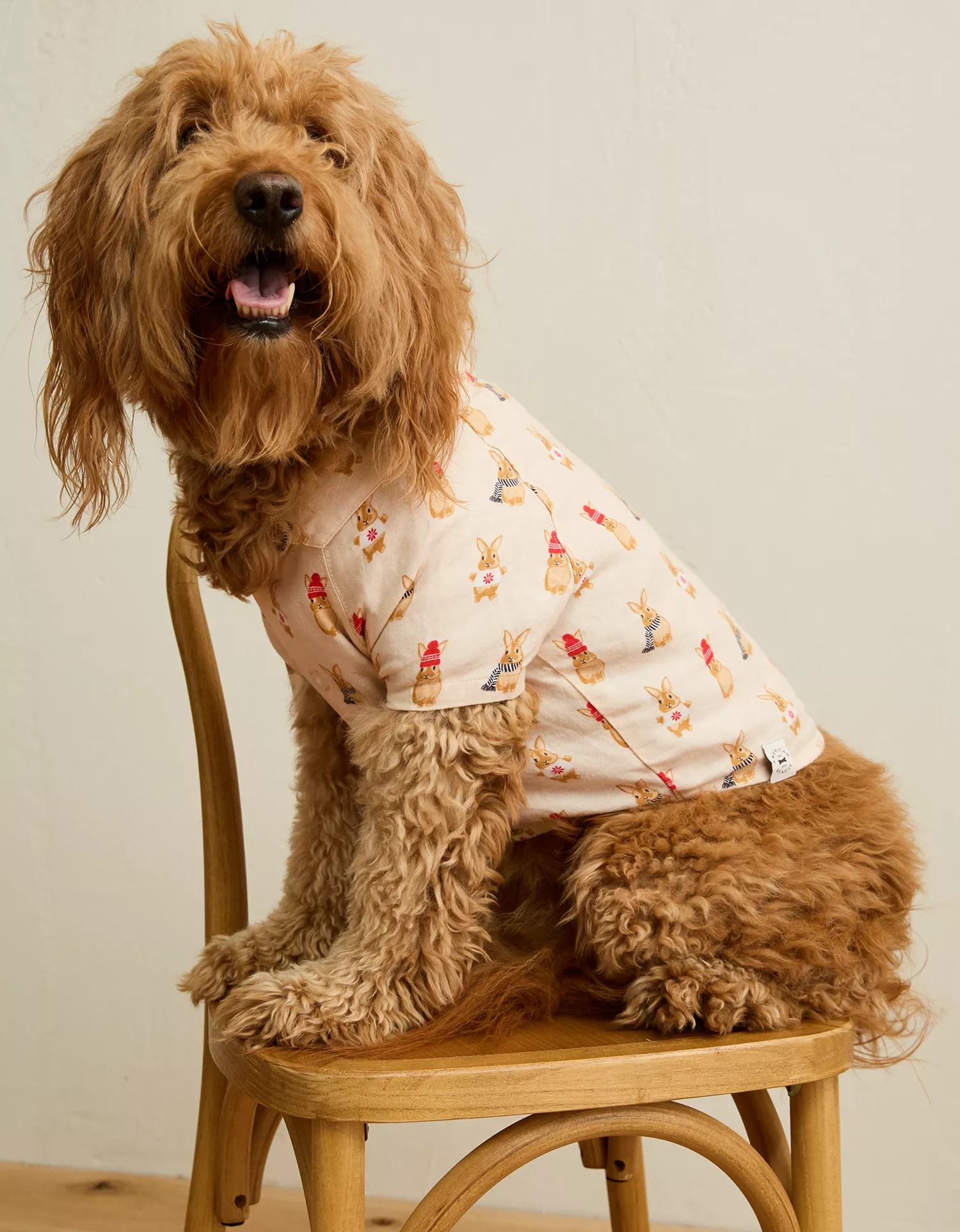 ABO Bunnies Flannel Dog Pajama