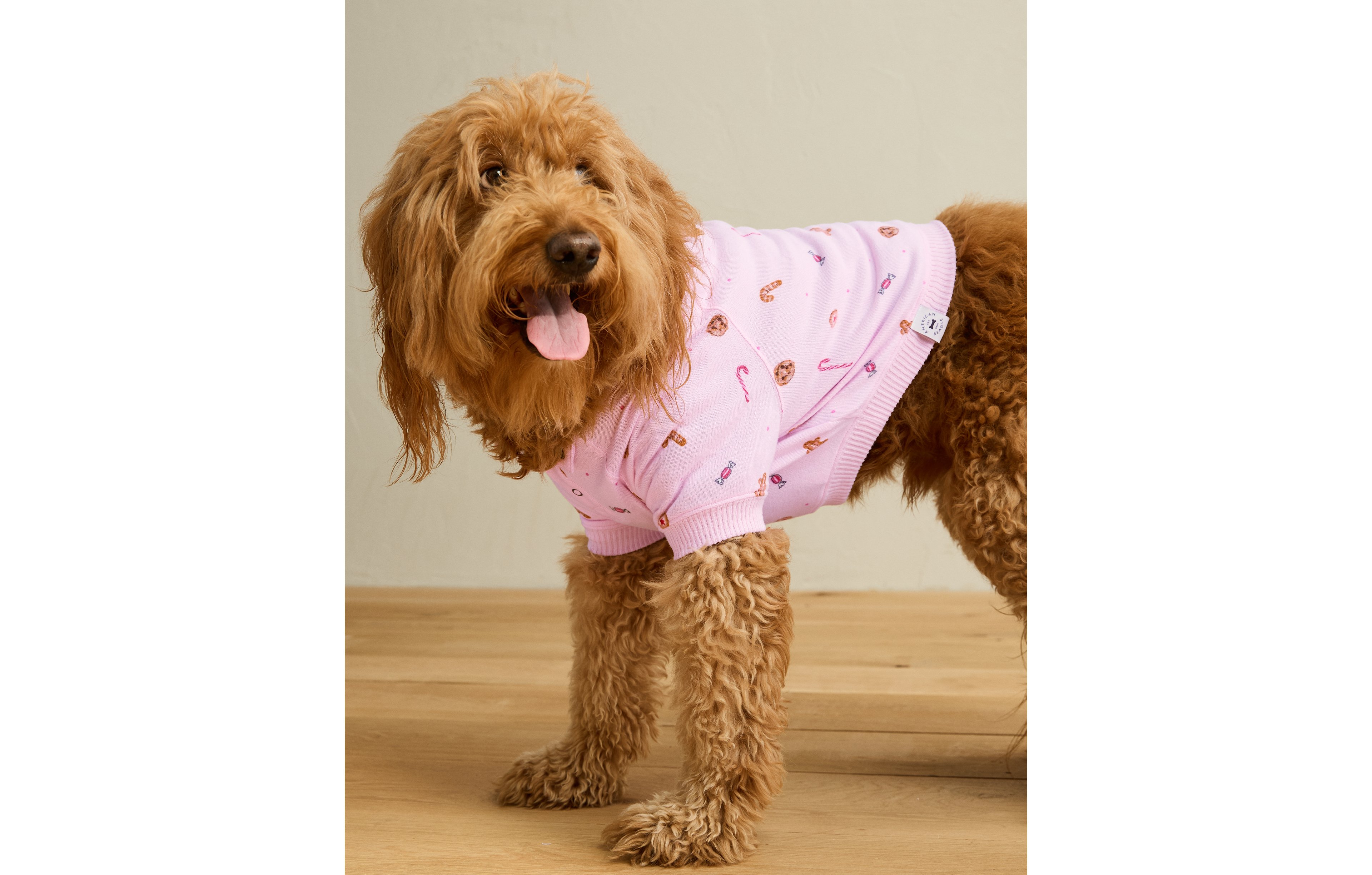 ABO Baked Goods Plush Dog Pajama