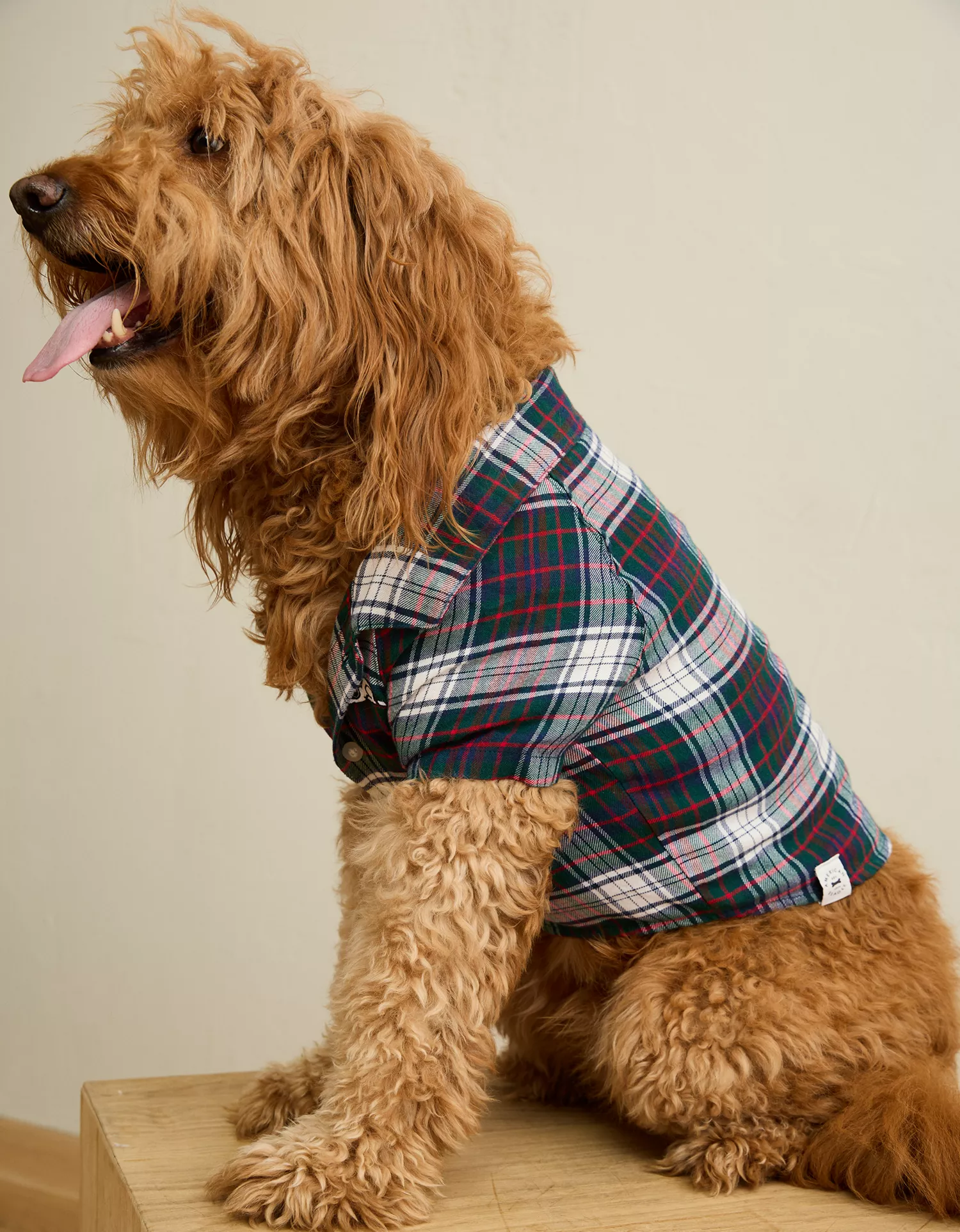 ABO Sleepy Snoopy Flannel Dog Sweater - thumbnail 2