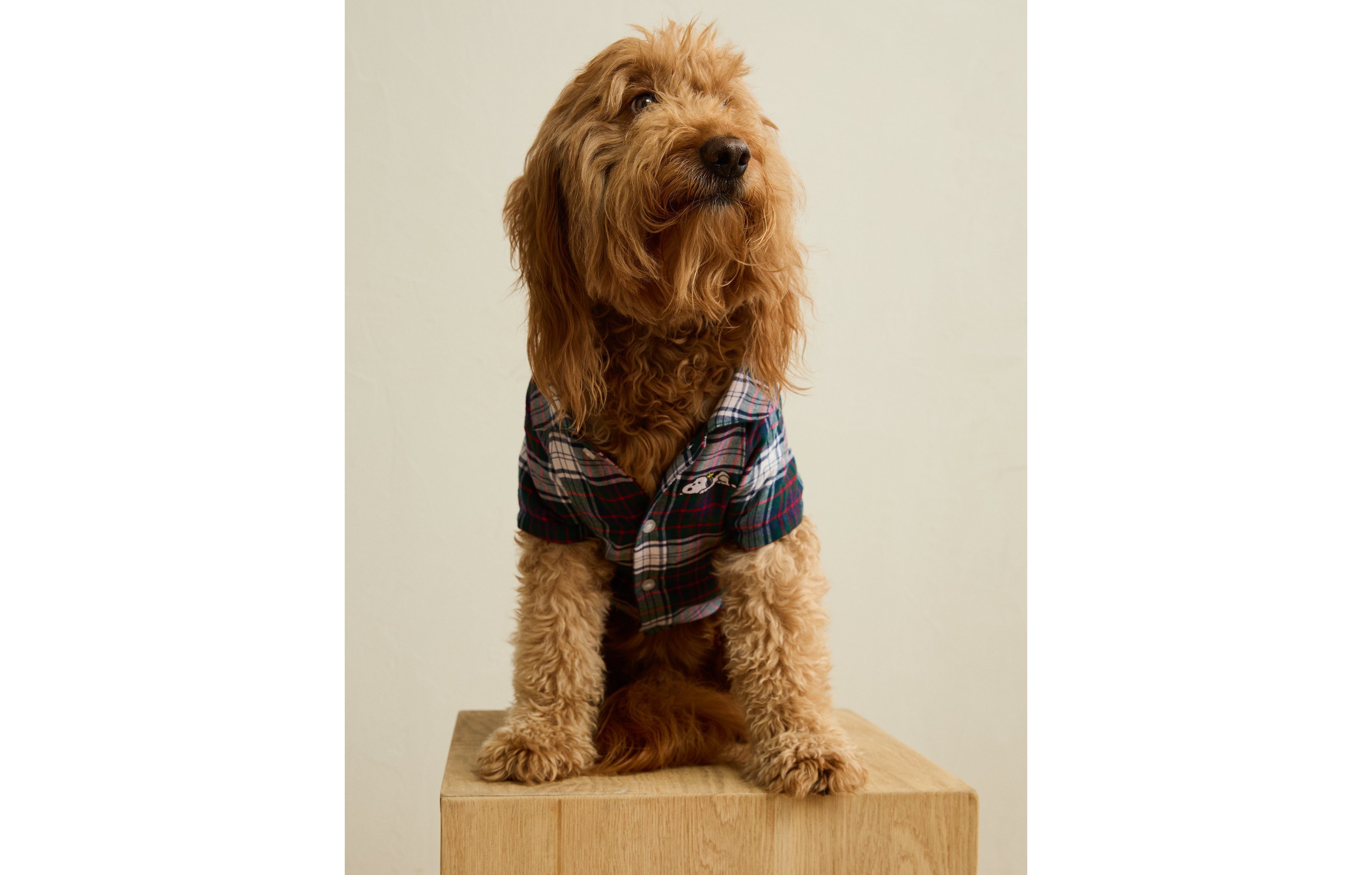 ABO Sleepy Snoopy Flannel Dog Sweater