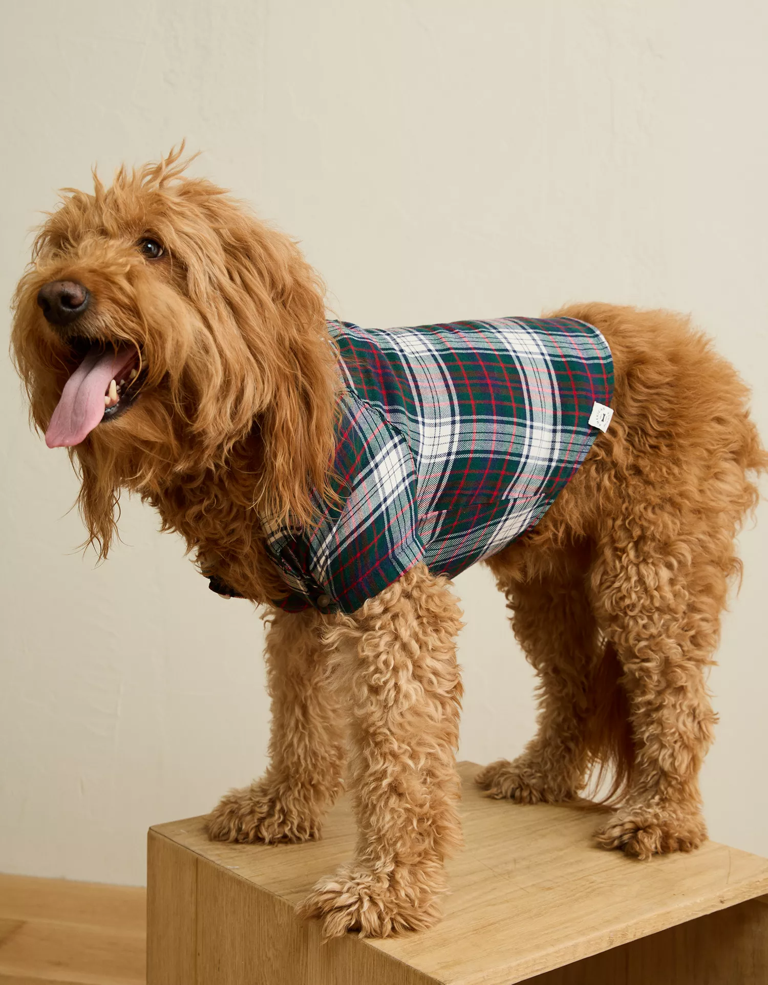 ABO Sleepy Snoopy Flannel Dog Sweater - thumbnail 5