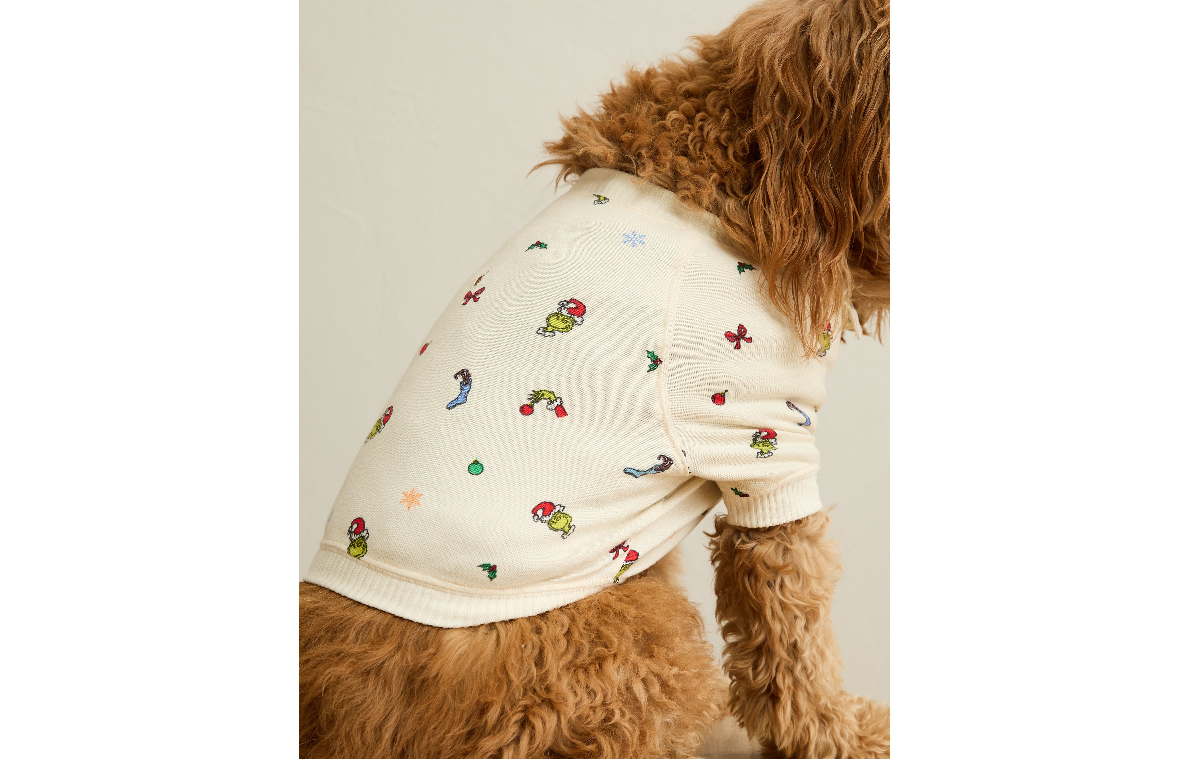 ABO Grinch Plush Dog Pajama