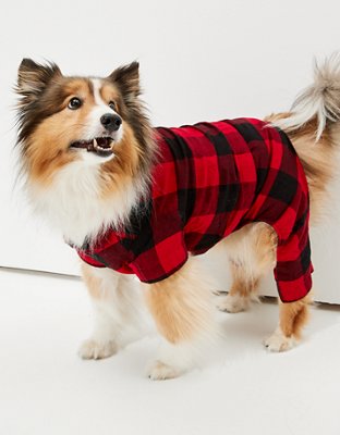 american eagle dog sherpa