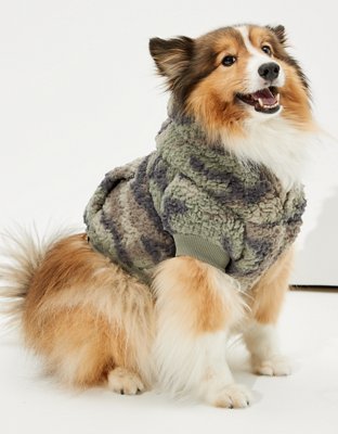 american eagle dog sherpa