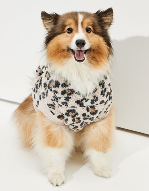 Женские худи American Eagle ABO Sherpa Doggy