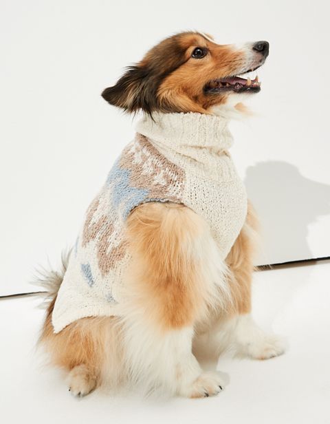Женские свитеры American Eagle ABO Fairisle Doggy Sweater
