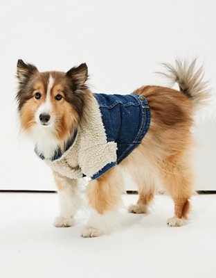 american eagle dog sherpa