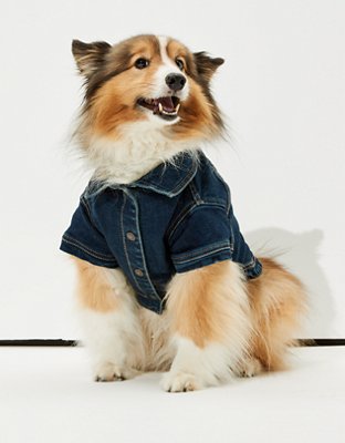 american eagle dog sherpa