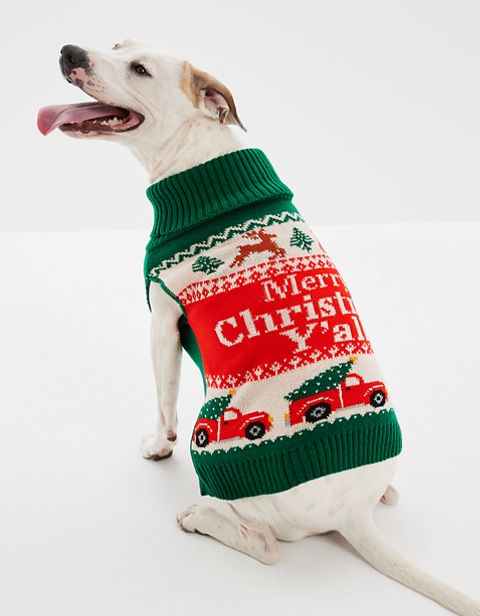 Женские свитеры American Eagle ABO Holiday Dog Sweater