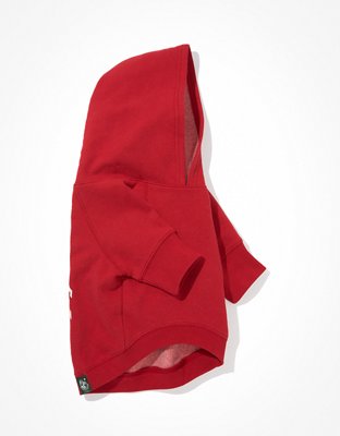 Женские худи American Eagle ABO Ski Team Fleece Dog — фото 2