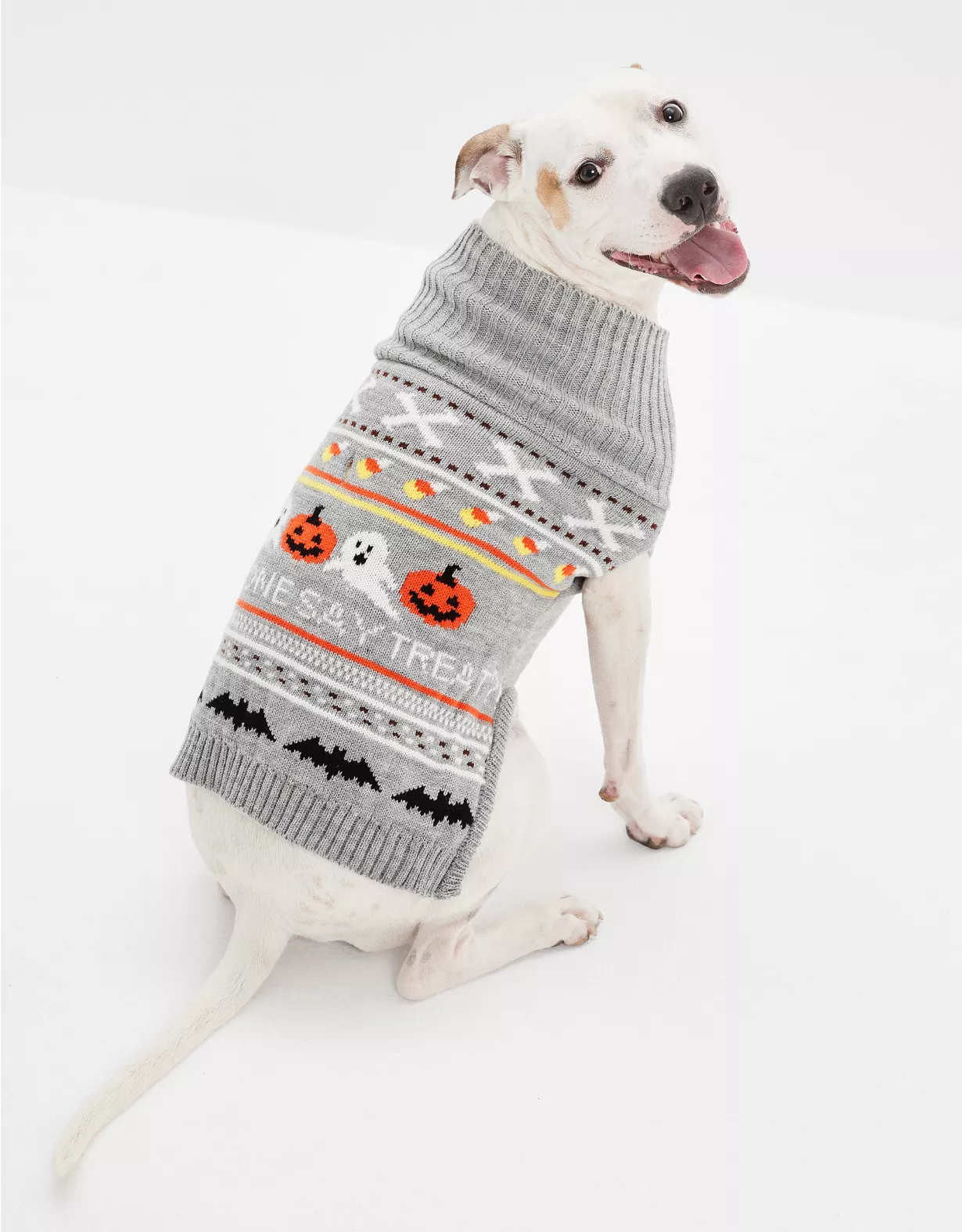 ABO Halloween Dog Sweater