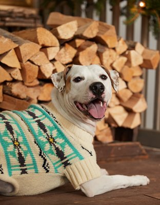Женские свитеры American Eagle ABO Fairisle Dog Sweater — фото 2