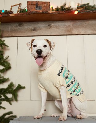 Женские свитеры American Eagle ABO Fairisle Dog Sweater — фото 4